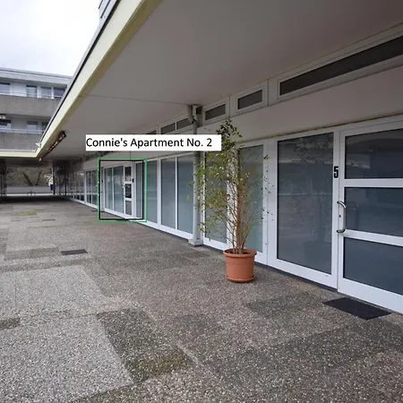 Connie'S Apartments Heidelberg Exterior photo